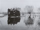 Alluvione del Brenta - Arzergrande, novembre 1966